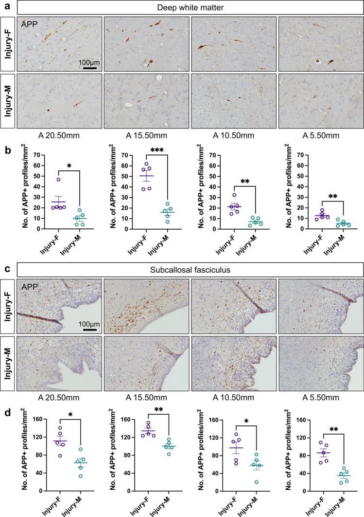 https://cdn.ncbi.nlm.nih.gov/pmc/blobs/af87/11070388/89b8e5f7f99c/401_2024_2735_Fig2_HTML.jpg