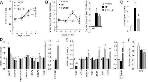 https://cdn.ncbi.nlm.nih.gov/pmc/blobs/af87/3581207/f4157ab9f2e1/825fig5.jpg