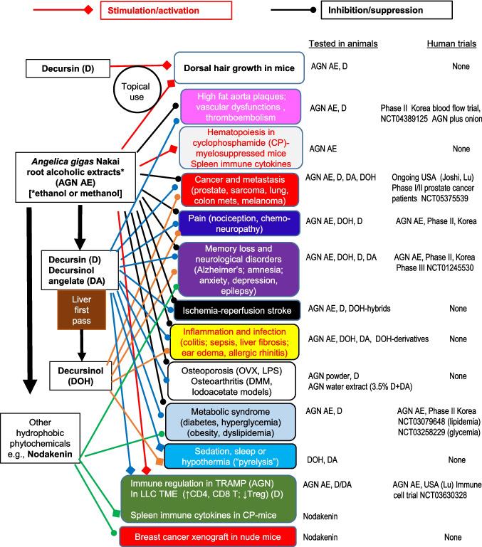https://cdn.ncbi.nlm.nih.gov/pmc/blobs/af88/11785709/ebc0399a314d/11095_2024_3809_Fig3_HTML.jpg