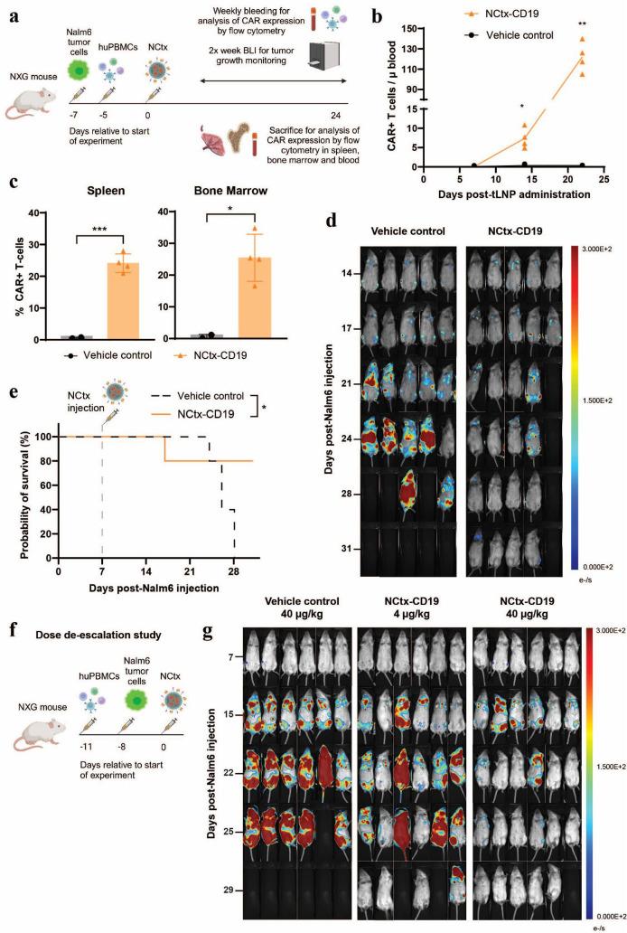 https://cdn.ncbi.nlm.nih.gov/pmc/blobs/af88/12258353/9864bcca3601/jitc-13-7-g003.jpg