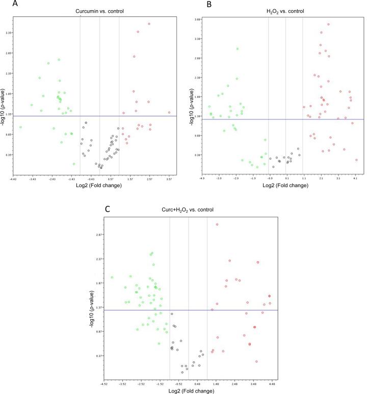 https://cdn.ncbi.nlm.nih.gov/pmc/blobs/af88/3611939/cd53dce93b9f/mv-v19-544-f3.jpg