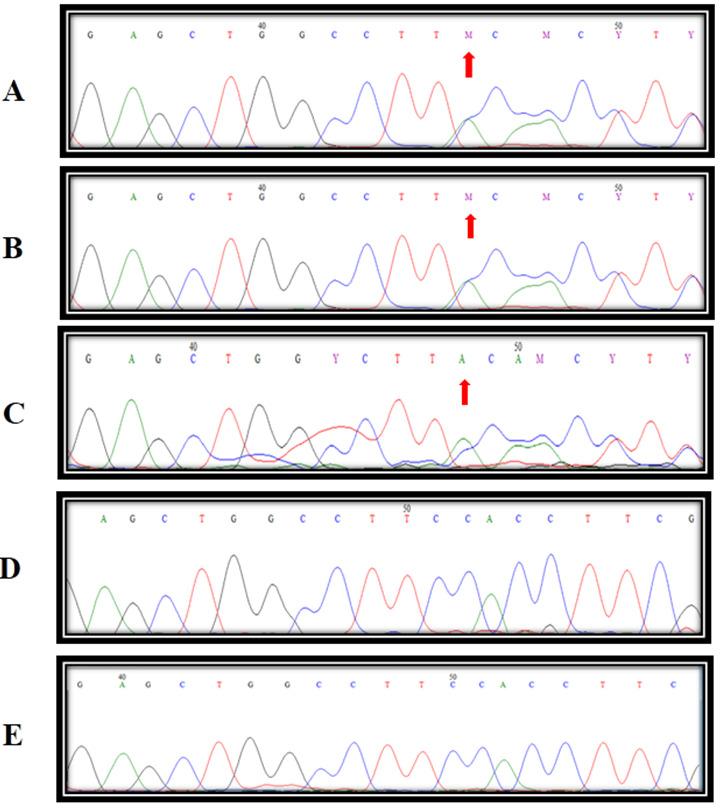 https://cdn.ncbi.nlm.nih.gov/pmc/blobs/af89/10349162/1296cacb14d6/IJMS-48-420-g002.jpg
