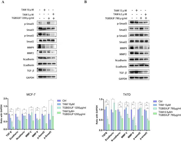 https://cdn.ncbi.nlm.nih.gov/pmc/blobs/af8a/11397187/116d9ecf02a2/CMAR-16-1189-g0007.jpg
