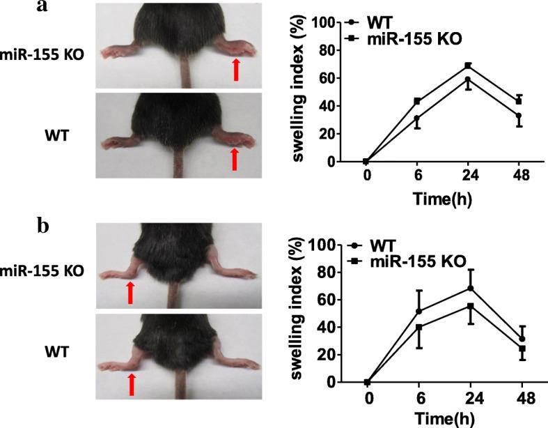 https://cdn.ncbi.nlm.nih.gov/pmc/blobs/af8b/6042462/da3d9a388292/13075_2018_1550_Fig2_HTML.jpg
