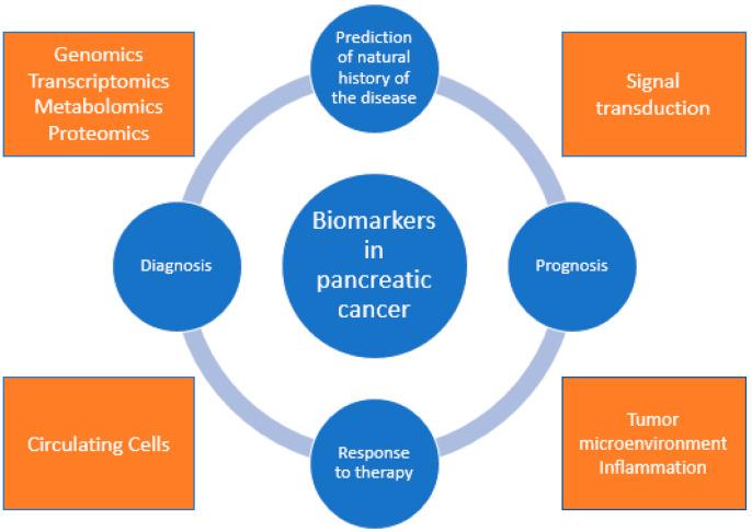 https://cdn.ncbi.nlm.nih.gov/pmc/blobs/af90/7959127/e73dde145190/cancers-13-01071-g001.jpg