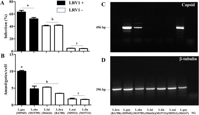 https://cdn.ncbi.nlm.nih.gov/pmc/blobs/af95/11315283/77ea4b03079a/pntd.0012333.g002.jpg