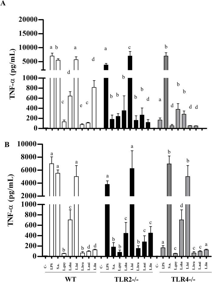 https://cdn.ncbi.nlm.nih.gov/pmc/blobs/af95/11315283/b96b150b5048/pntd.0012333.g013.jpg