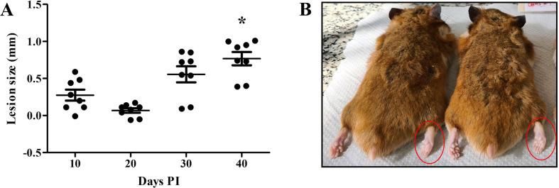 https://cdn.ncbi.nlm.nih.gov/pmc/blobs/af95/11315283/c4806f854adb/pntd.0012333.g003.jpg