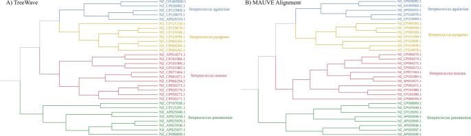 https://cdn.ncbi.nlm.nih.gov/pmc/blobs/af95/11600722/d04b14c135c2/12859_2024_5992_Fig6_HTML.jpg