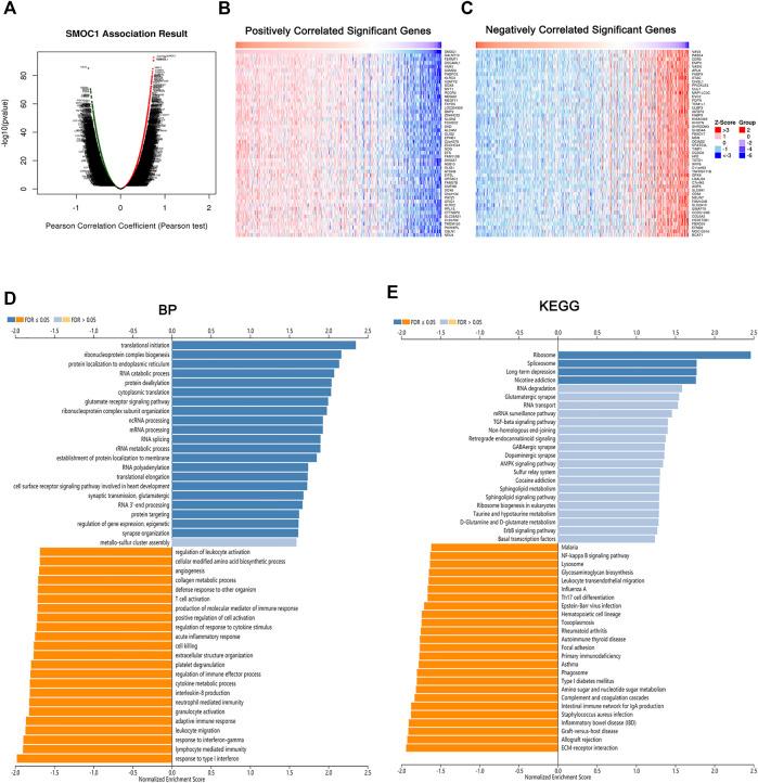 https://cdn.ncbi.nlm.nih.gov/pmc/blobs/af95/8640086/1c6c8254aaa4/fmolb-08-666623-g004.jpg