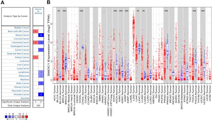 https://cdn.ncbi.nlm.nih.gov/pmc/blobs/af95/8640086/6b1b1e703844/fmolb-08-666623-g001.jpg