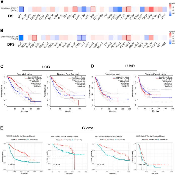 https://cdn.ncbi.nlm.nih.gov/pmc/blobs/af95/8640086/ca7c41d9b441/fmolb-08-666623-g002.jpg