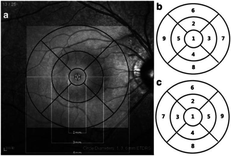 https://cdn.ncbi.nlm.nih.gov/pmc/blobs/af97/11674592/3e4e6a2584c0/12886_2024_3744_Fig1_HTML.jpg