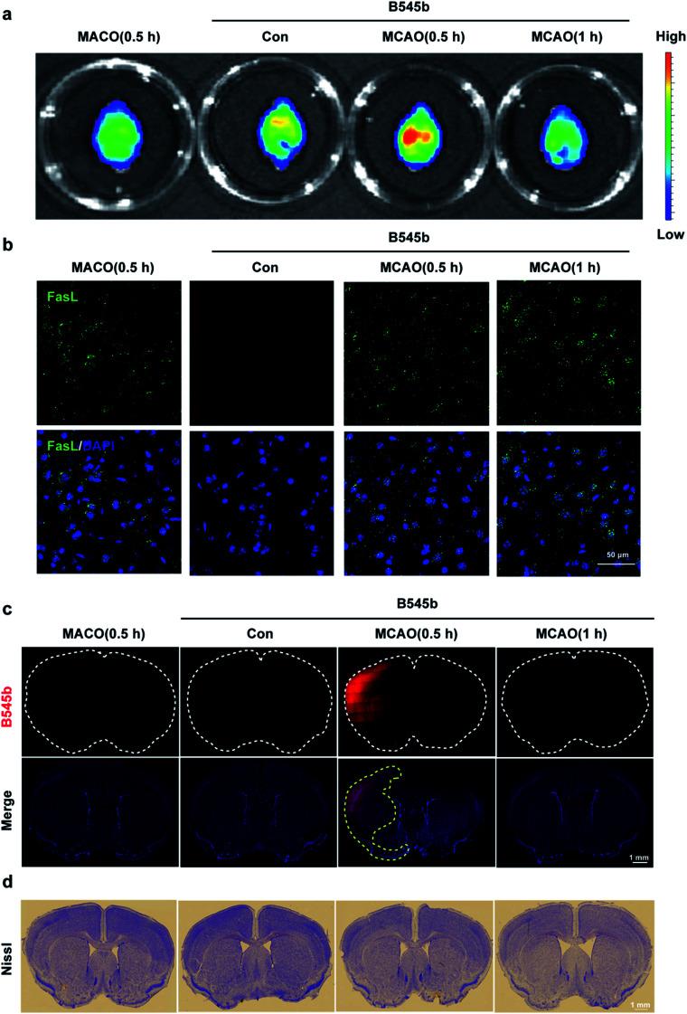 https://cdn.ncbi.nlm.nih.gov/pmc/blobs/af98/8133006/ba150ee1dee1/c9sc03798e-f6.jpg