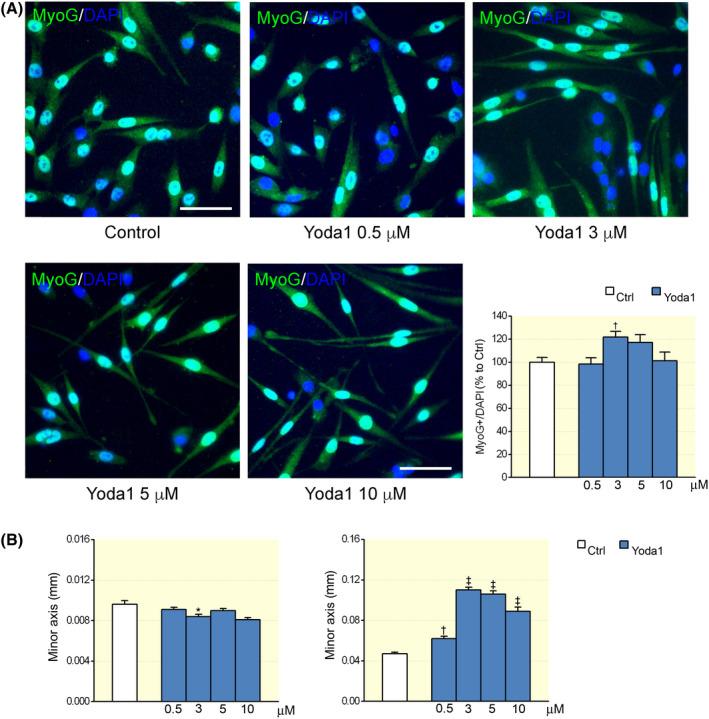 https://cdn.ncbi.nlm.nih.gov/pmc/blobs/af98/9286833/8458be34f966/APHA-233-0-g006.jpg
