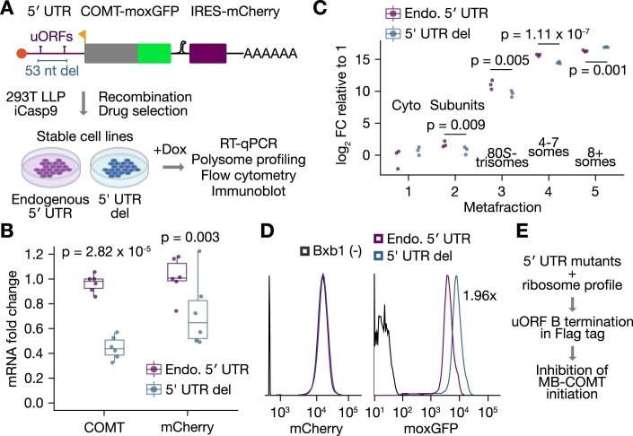 https://cdn.ncbi.nlm.nih.gov/pmc/blobs/af99/11066095/8fc3f76d6b99/44320_2024_18_Fig7_ESM.jpg