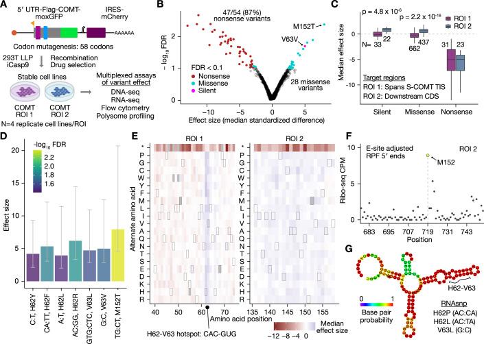 https://cdn.ncbi.nlm.nih.gov/pmc/blobs/af99/11066095/c889aa6f4343/44320_2024_18_Fig2_HTML.jpg