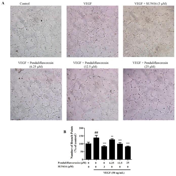 https://cdn.ncbi.nlm.nih.gov/pmc/blobs/af9b/6155893/cec16634f94f/molecules-22-00126-g003.jpg