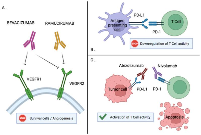 https://cdn.ncbi.nlm.nih.gov/pmc/blobs/af9b/9139863/70f373111e56/cancers-14-02357-g002.jpg