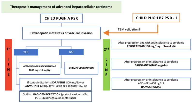 https://cdn.ncbi.nlm.nih.gov/pmc/blobs/af9b/9139863/91aab034b123/cancers-14-02357-g005.jpg