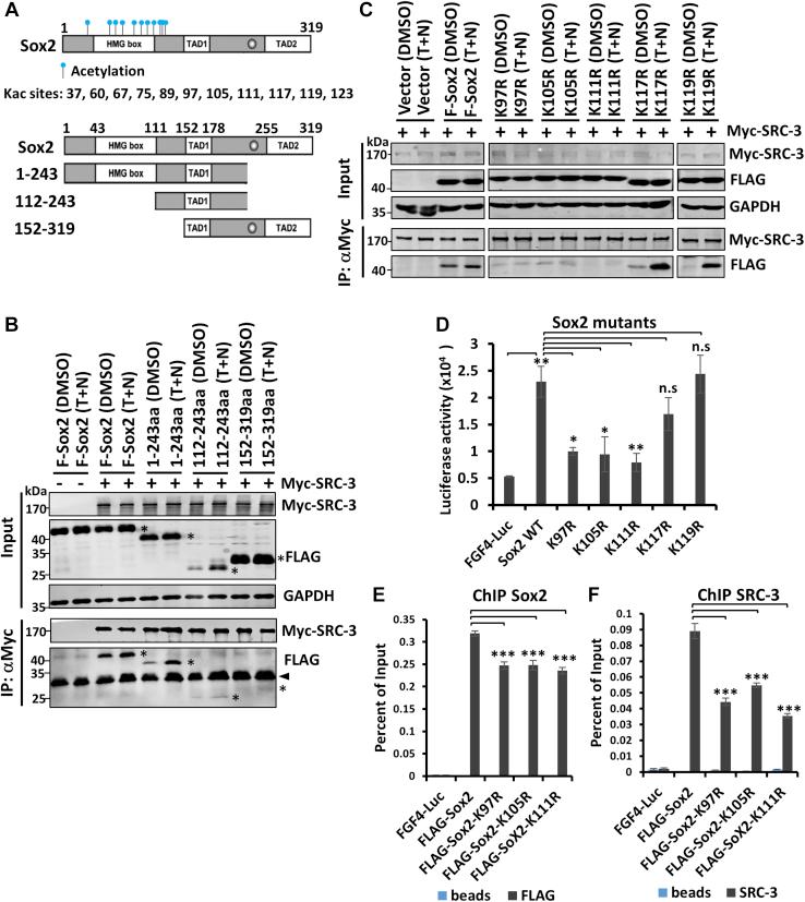https://cdn.ncbi.nlm.nih.gov/pmc/blobs/af9e/8668987/20ff69f49b2e/gr4.jpg