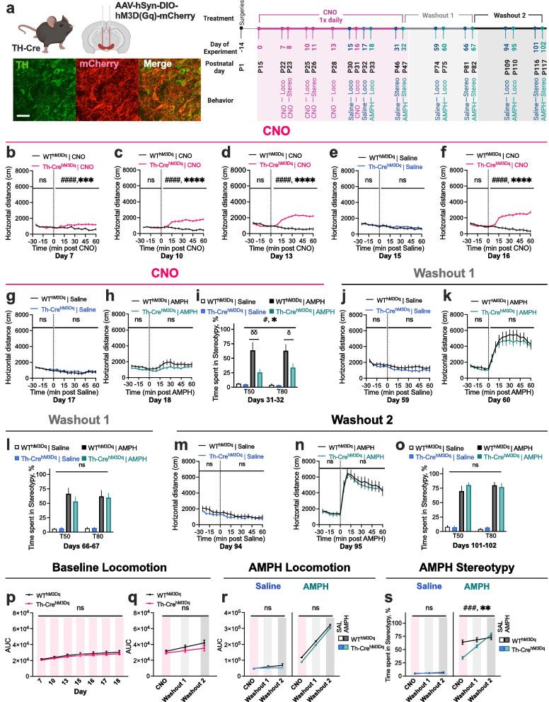 https://cdn.ncbi.nlm.nih.gov/pmc/blobs/af9f/11165814/36f3f24a329f/13041_2024_1110_Fig1_HTML.jpg