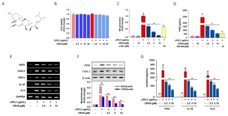 https://cdn.ncbi.nlm.nih.gov/pmc/blobs/afa0/7072429/007cb806121c/biomolecules-10-00199-g001.jpg