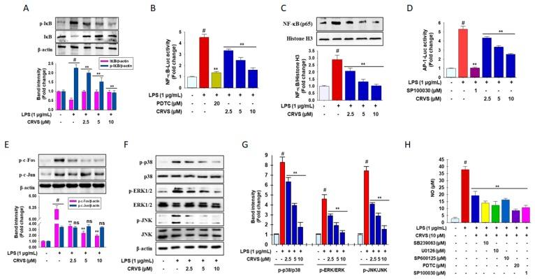 https://cdn.ncbi.nlm.nih.gov/pmc/blobs/afa0/7072429/2b6d53617c64/biomolecules-10-00199-g002.jpg