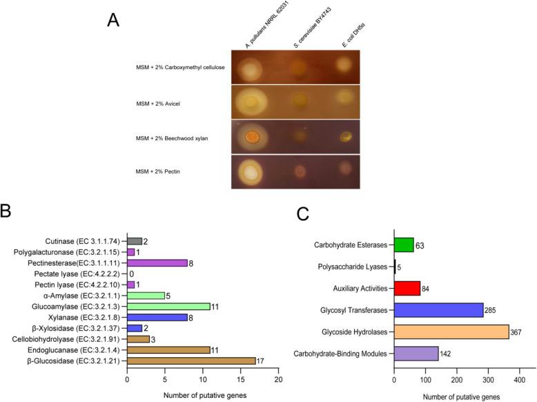 https://cdn.ncbi.nlm.nih.gov/pmc/blobs/afa4/11905612/d98c782d7efb/12864_2025_11395_Fig4_HTML.jpg