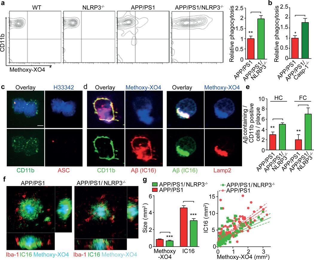 https://cdn.ncbi.nlm.nih.gov/pmc/blobs/afa7/3812809/f485d58e2b18/nihms418619f3.jpg