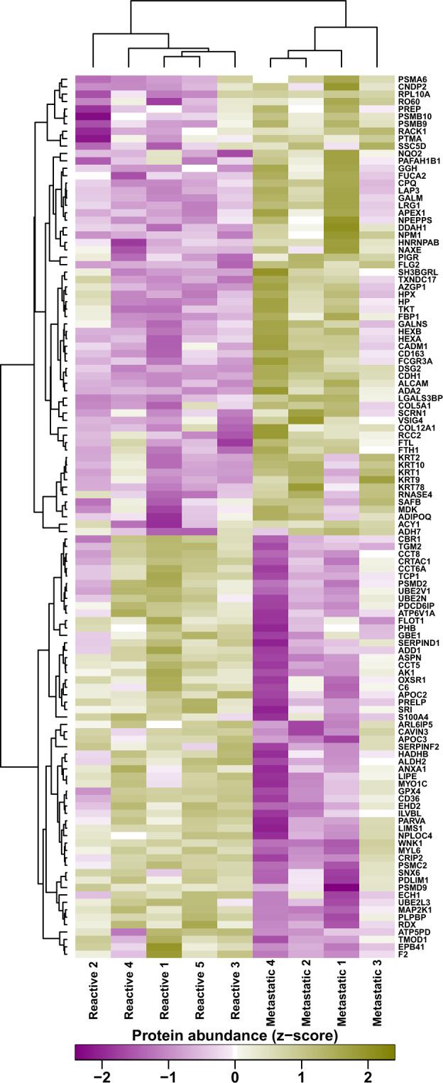 https://cdn.ncbi.nlm.nih.gov/pmc/blobs/afaa/7935848/755db8fd1bd7/41523_2021_227_Fig2_HTML.jpg