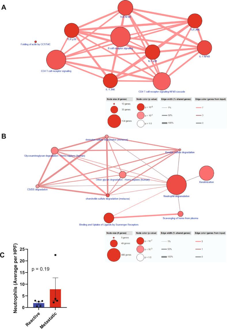 https://cdn.ncbi.nlm.nih.gov/pmc/blobs/afaa/7935848/a01a1619bf42/41523_2021_227_Fig3_HTML.jpg