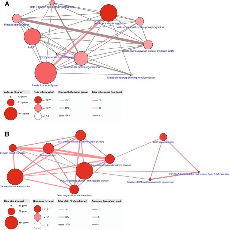 https://cdn.ncbi.nlm.nih.gov/pmc/blobs/afaa/7935848/a75a9232de26/41523_2021_227_Fig6_HTML.jpg