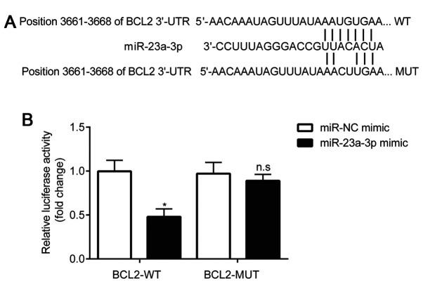 https://cdn.ncbi.nlm.nih.gov/pmc/blobs/afad/7967796/2722b3b51354/etm-21-05-09853-g03.jpg