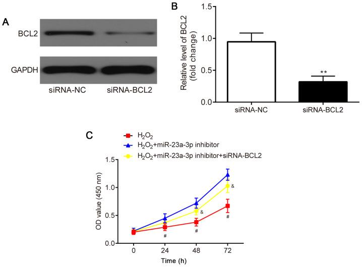 https://cdn.ncbi.nlm.nih.gov/pmc/blobs/afad/7967796/b10c6121e6e4/etm-21-05-09853-g05.jpg