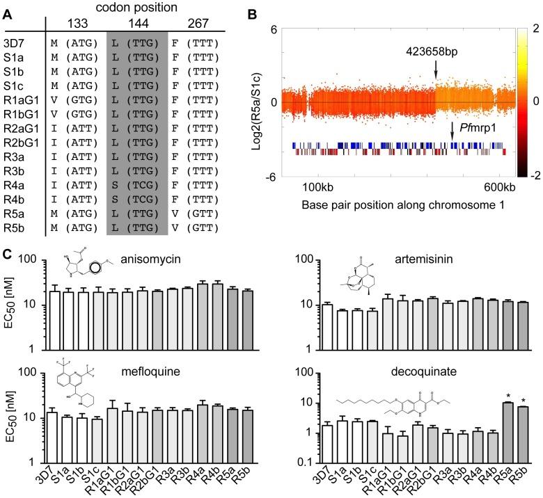 https://cdn.ncbi.nlm.nih.gov/pmc/blobs/afb0/3567157/6e4ecdbaf55e/pgen.1003293.g003.jpg