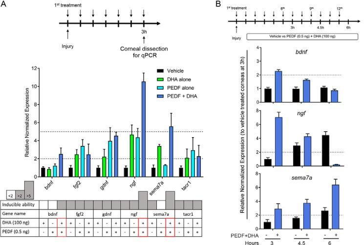 https://cdn.ncbi.nlm.nih.gov/pmc/blobs/afb0/5682960/9be40fbda411/zbc0481777060002.jpg