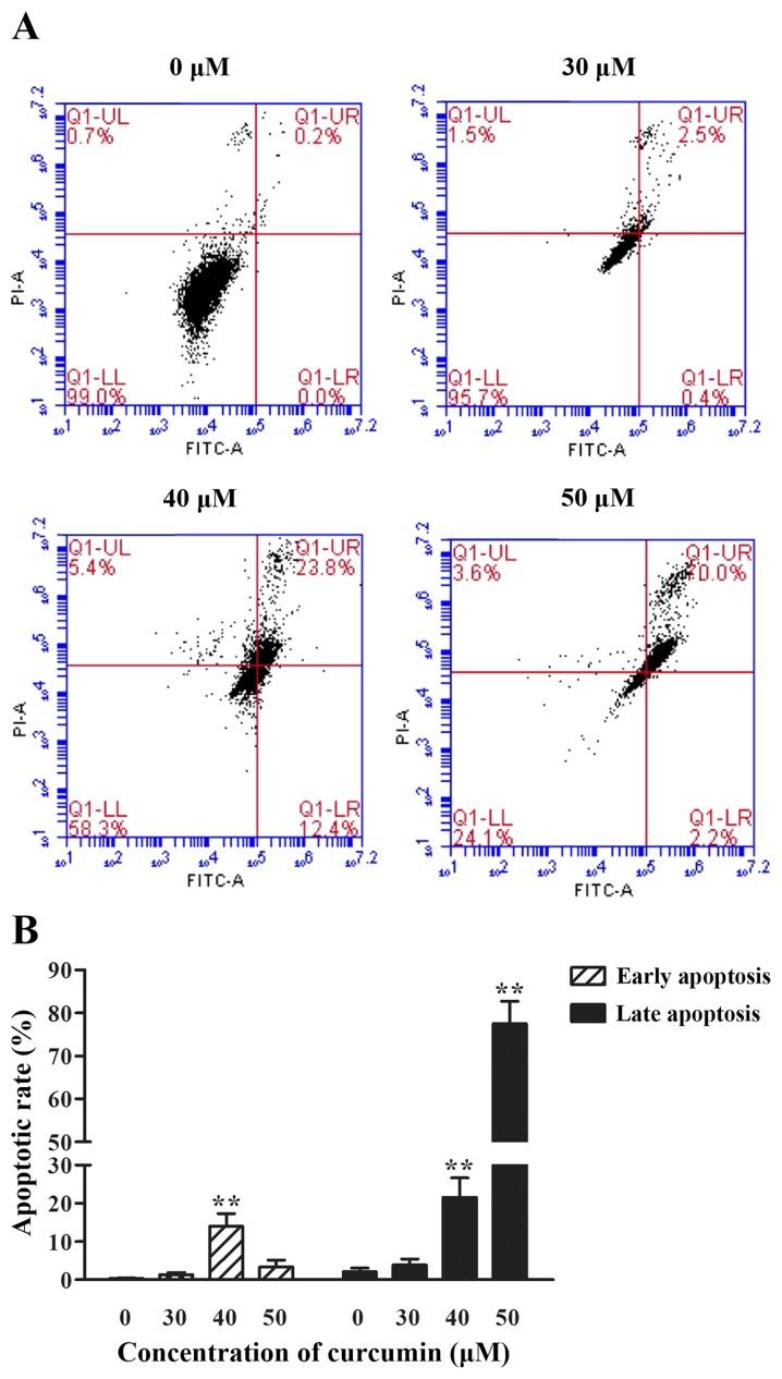 https://cdn.ncbi.nlm.nih.gov/pmc/blobs/afb0/6313093/e3c523a35893/ol-17-01-0127-g03.jpg
