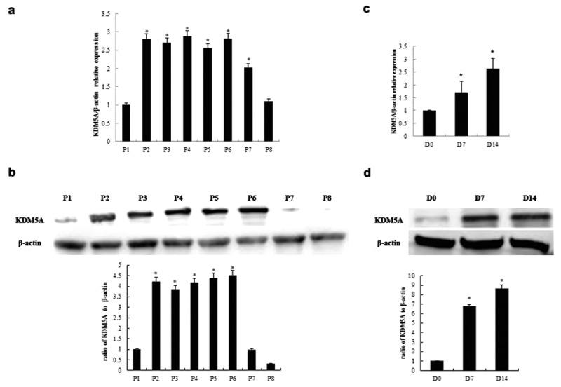 https://cdn.ncbi.nlm.nih.gov/pmc/blobs/afb1/7161540/4251ea6f374b/kbie-11-01-1743536-g003.jpg