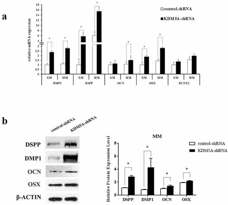 https://cdn.ncbi.nlm.nih.gov/pmc/blobs/afb1/7161540/fc3c1ea2d304/kbie-11-01-1743536-g005.jpg