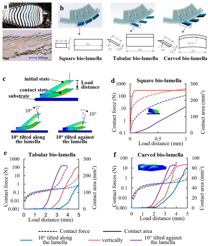 https://cdn.ncbi.nlm.nih.gov/pmc/blobs/afb1/9844372/aa06b7c1fb2c/biomimetics-08-00040-g003.jpg