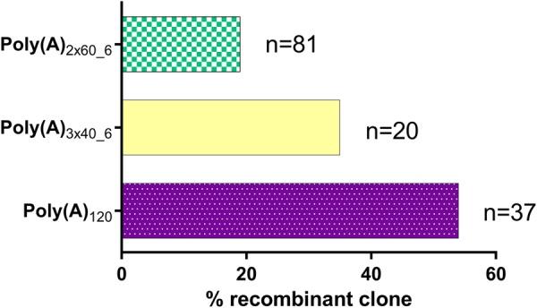 https://cdn.ncbi.nlm.nih.gov/pmc/blobs/afb3/6426288/11c7c0b7e488/507f02.jpg