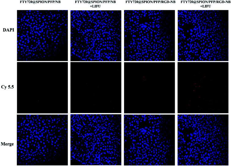 https://cdn.ncbi.nlm.nih.gov/pmc/blobs/afb3/9057352/37d23cc52c61/d0ra06415g-f5.jpg