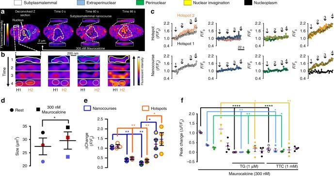 https://cdn.ncbi.nlm.nih.gov/pmc/blobs/afb4/6534574/a04db6dc615d/41467_2019_10055_Fig3_HTML.jpg