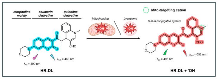 https://cdn.ncbi.nlm.nih.gov/pmc/blobs/afb5/11762621/15bc6a1e32cd/antioxidants-14-00079-g011.jpg