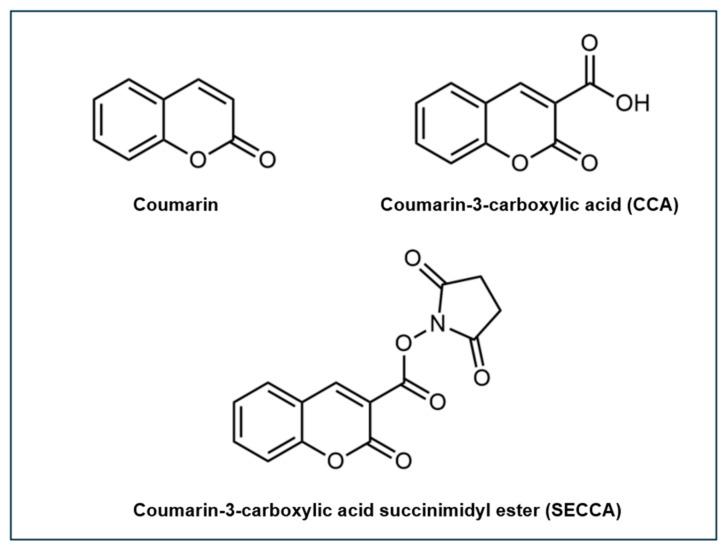 https://cdn.ncbi.nlm.nih.gov/pmc/blobs/afb5/11762621/955ada8de166/antioxidants-14-00079-g003.jpg
