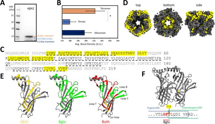 https://cdn.ncbi.nlm.nih.gov/pmc/blobs/afb6/11157483/061719934893/cn4c00149_0007.jpg