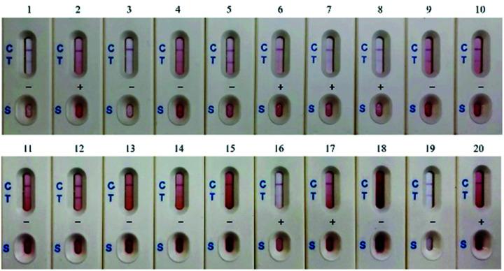 https://cdn.ncbi.nlm.nih.gov/pmc/blobs/afb9/9264126/93bccf68a5cd/d2ra02823a-f4.jpg