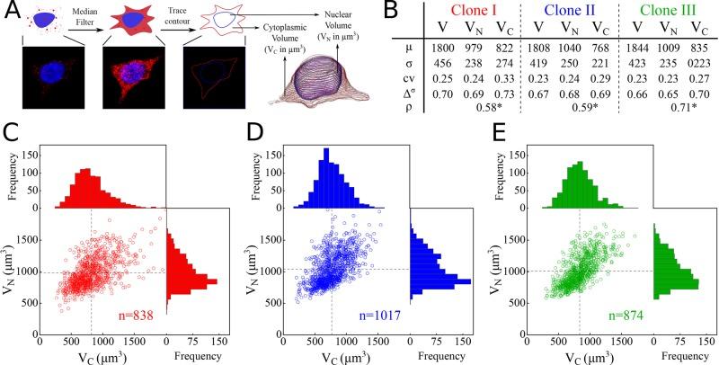 https://cdn.ncbi.nlm.nih.gov/pmc/blobs/afba/4325848/b908dd758358/797fig2.jpg