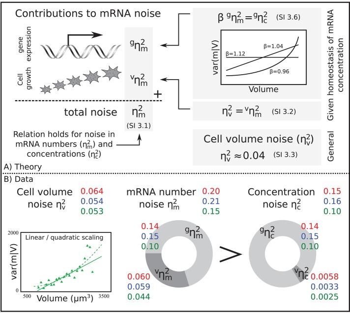 https://cdn.ncbi.nlm.nih.gov/pmc/blobs/afba/4325848/e732d25bcef6/797fig4.jpg
